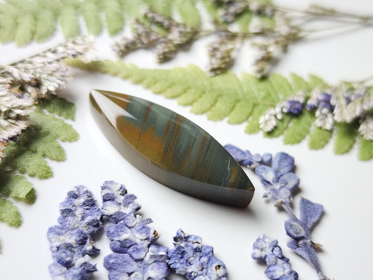 Owyhee jasper