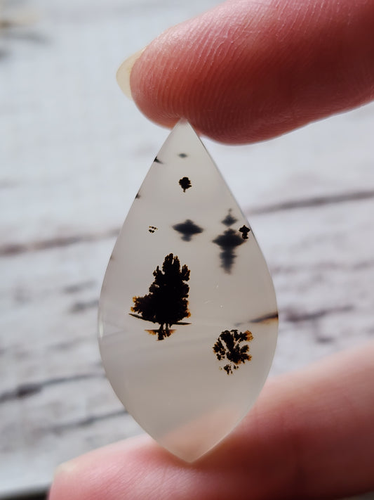 Montana agate