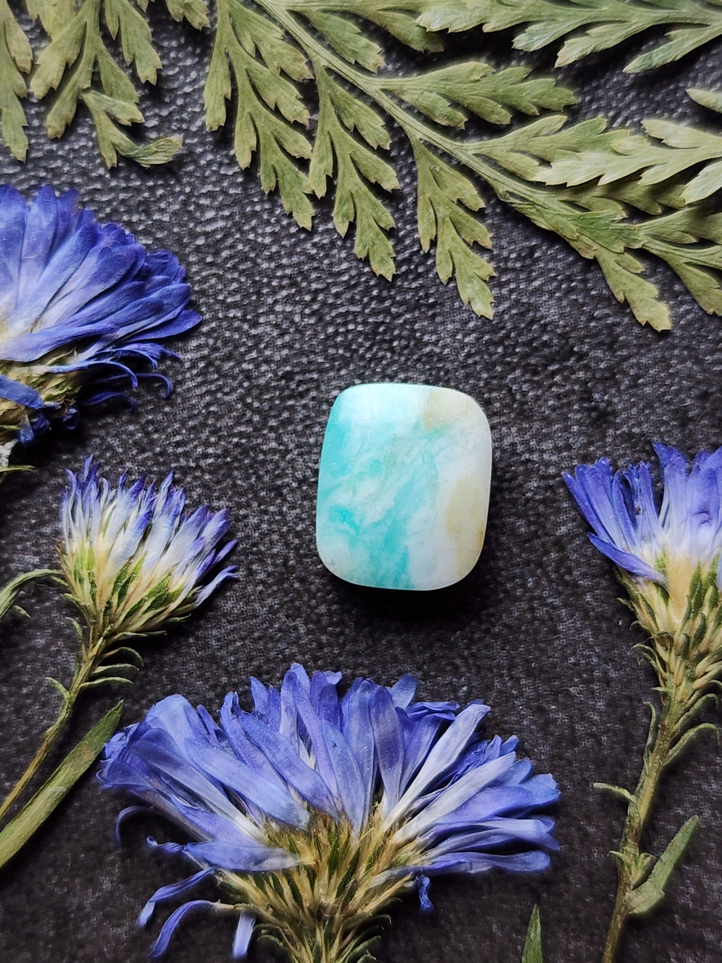 Petrified Blue opalized wood