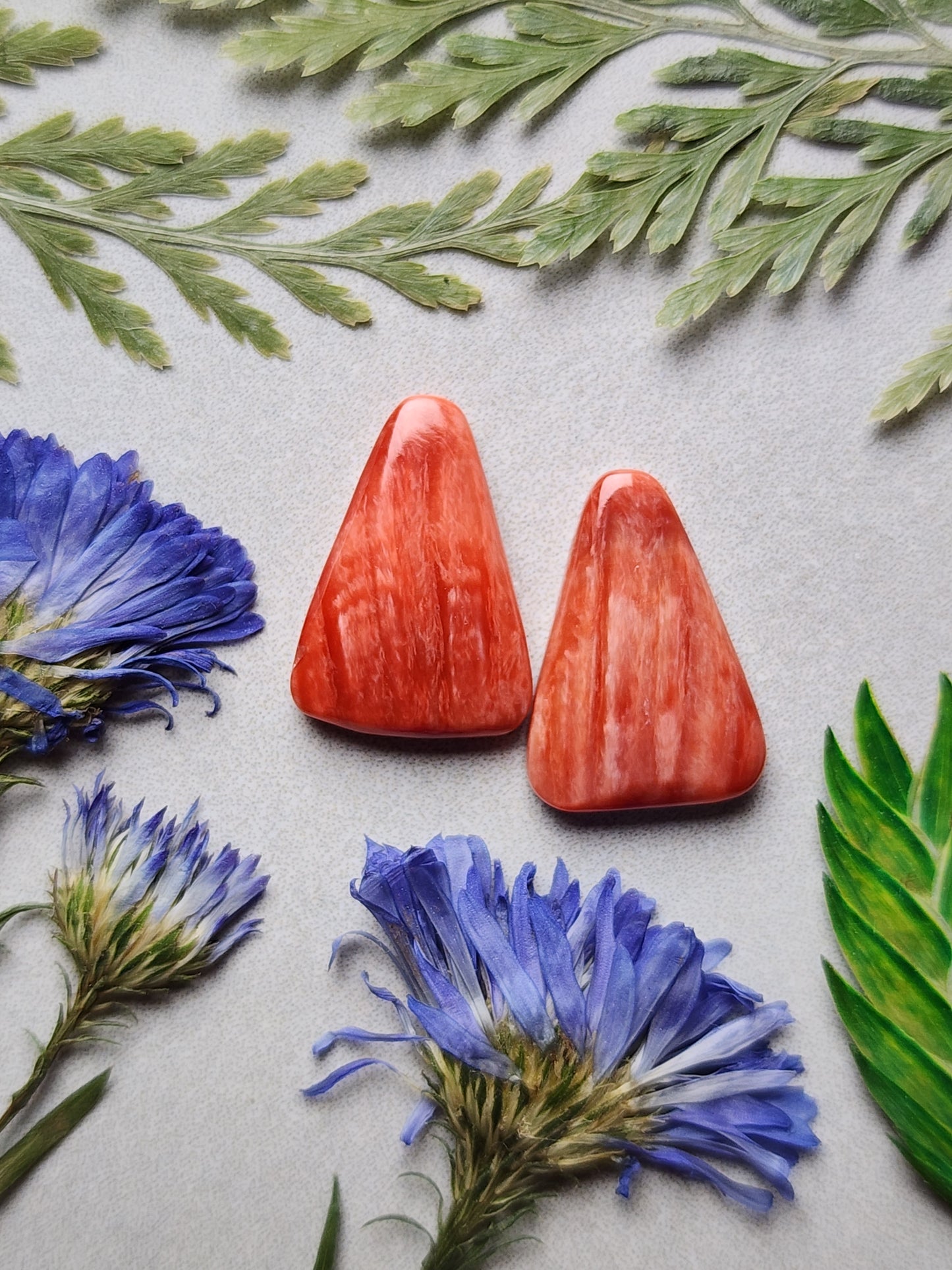 Spiny shell oyster pair