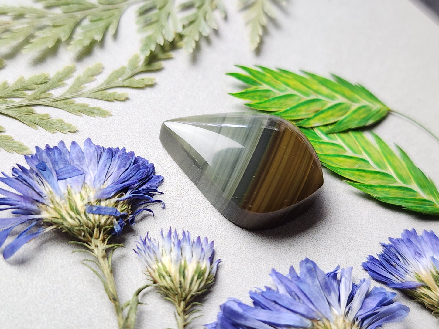 Blue Mountain jasper