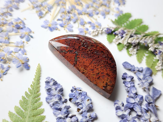 Brenda plume agate
