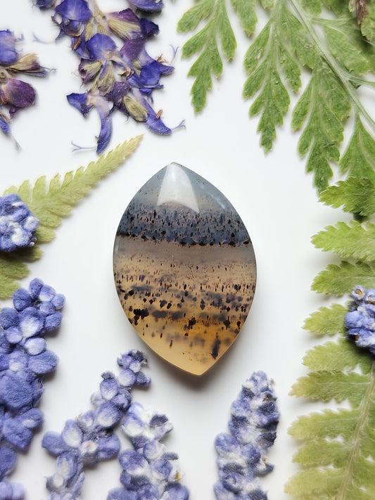 Montana agate