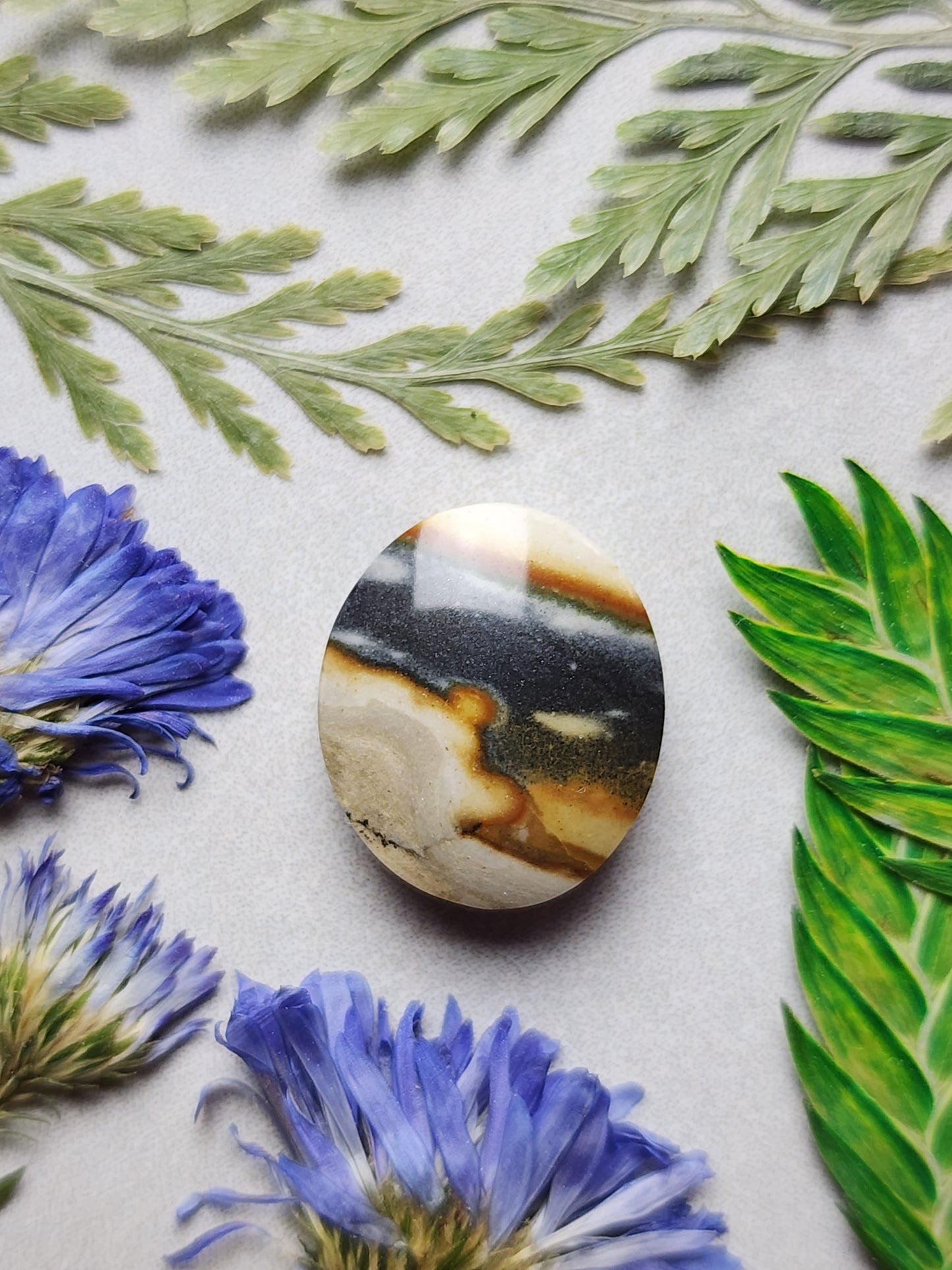 Starry night picture jasper