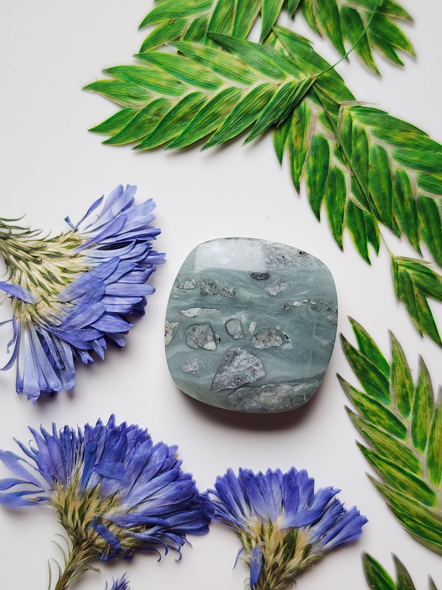 BC Ocean Picture stone