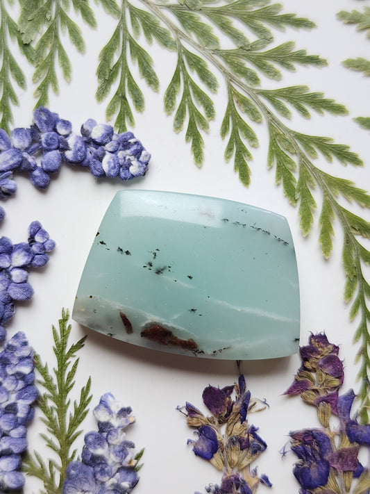 BC Ocean picture stone