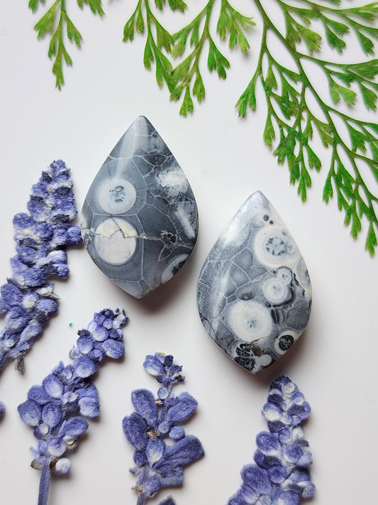Galaxy Rhyolite pair