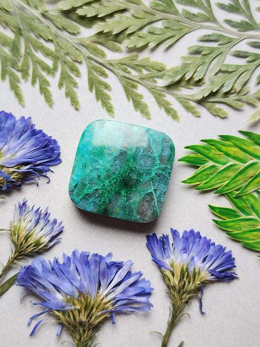 Spiderweb Chrysocolla