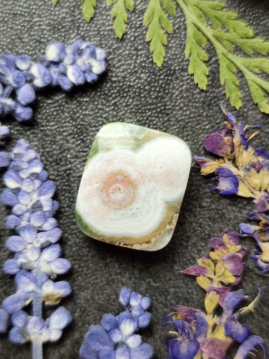 Ocean jasper