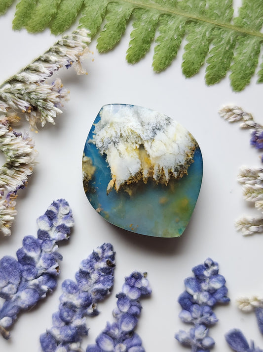 Bella Vista plume agate Doublet