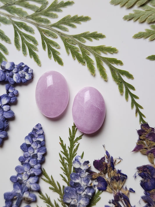 Lavender Kunzite pair