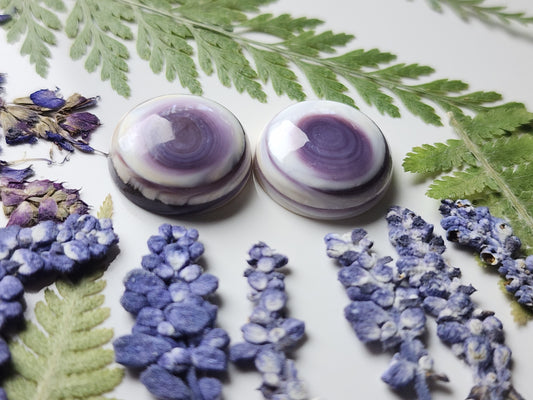 Wampum shell pair