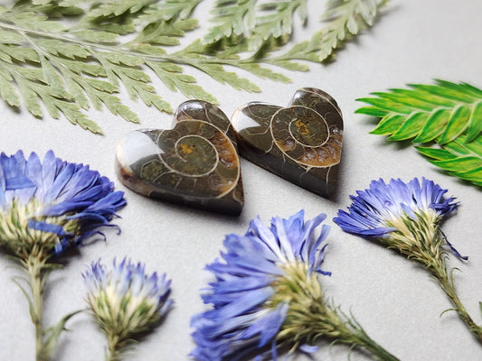 Ammonite Fossil heart pair