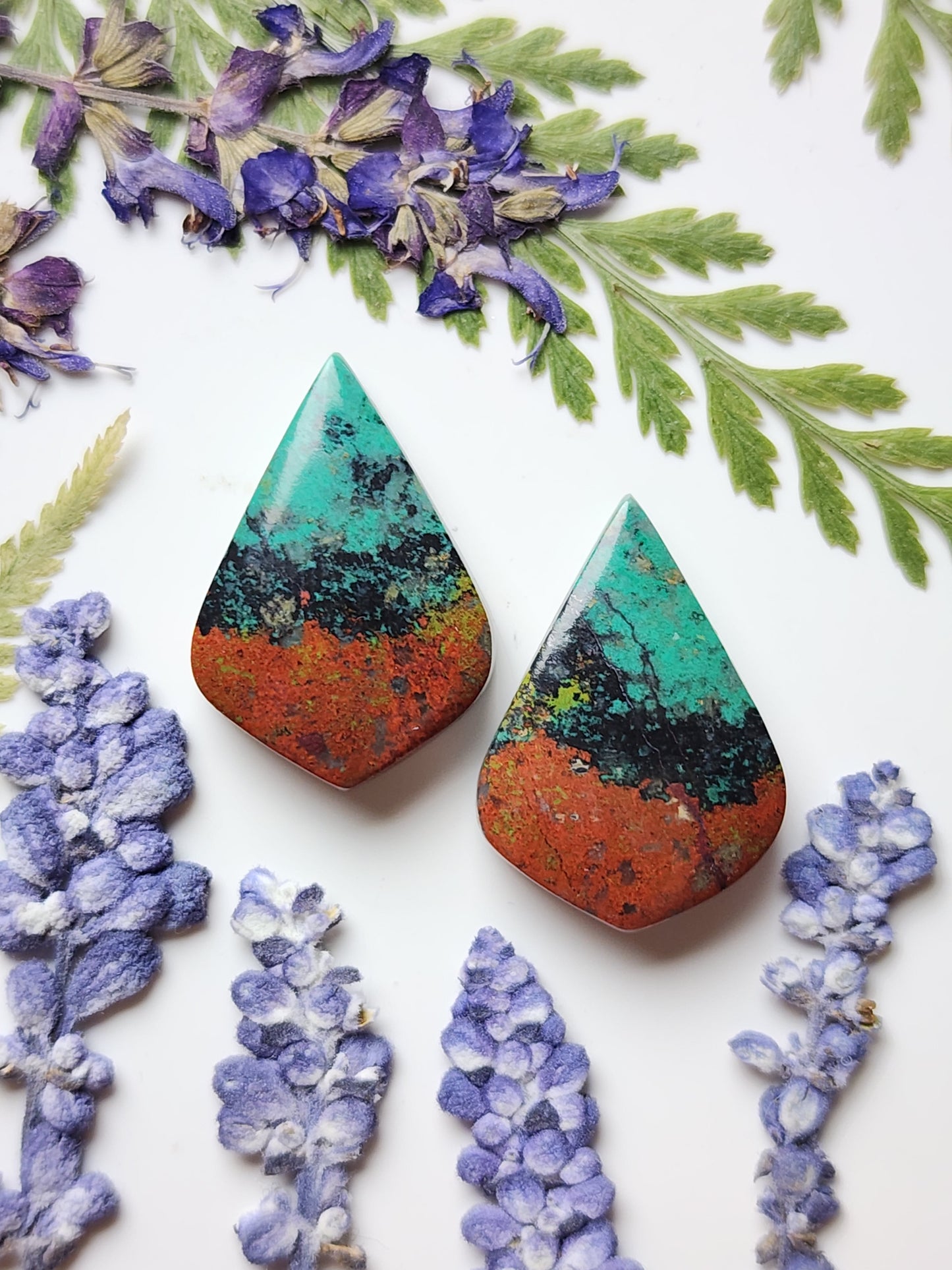 Sonora Sunrise pair