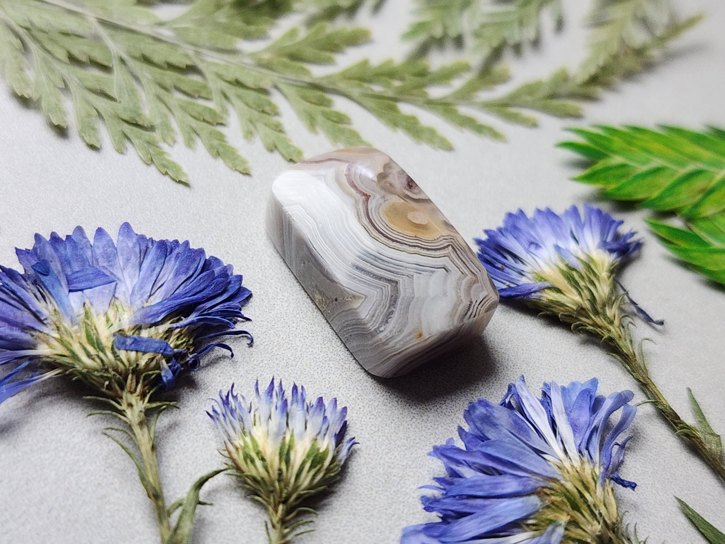 Laguna lace agate