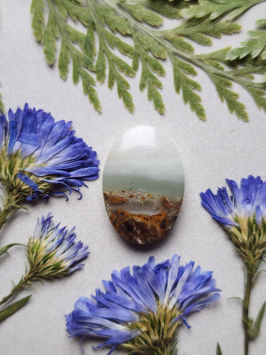 BC Ocean Picture stone