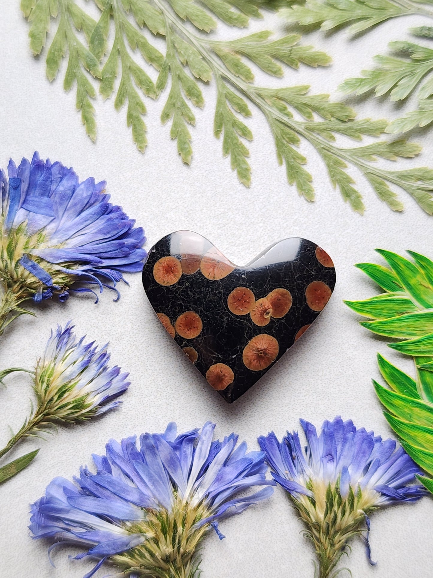 Peanut Obsidian heart