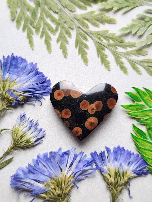 Peanut Obsidian heart