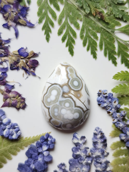 Ocean jasper
