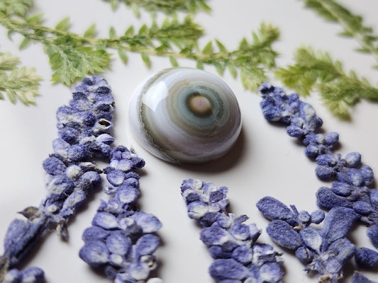 Ocean jasper