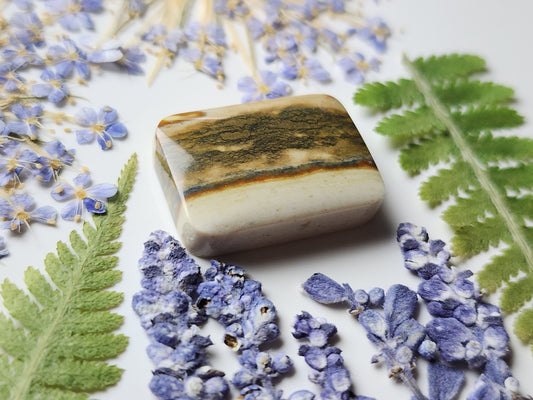 Starry night picture jasper