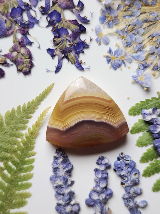 Agua Nueva agate