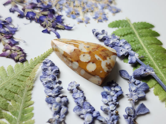 Spotted Fawn jasper