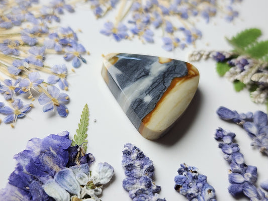 Starry night picture jasper