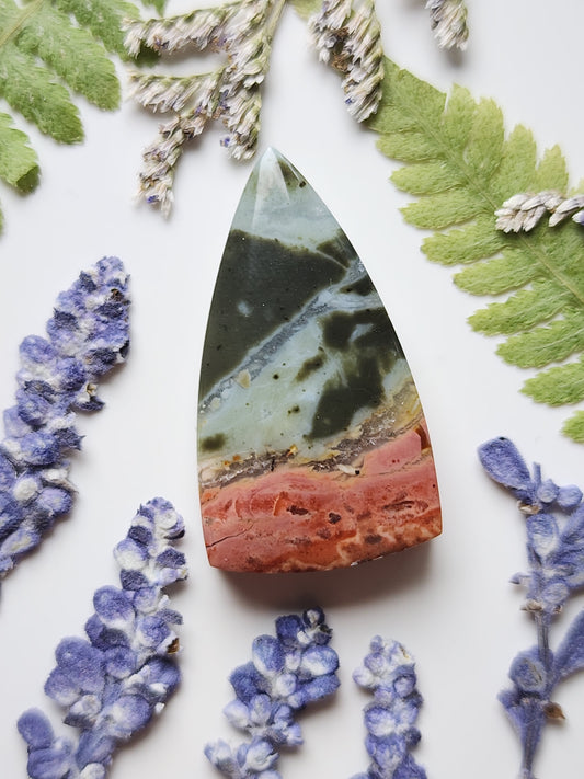 Brecciated Polychrome jasper