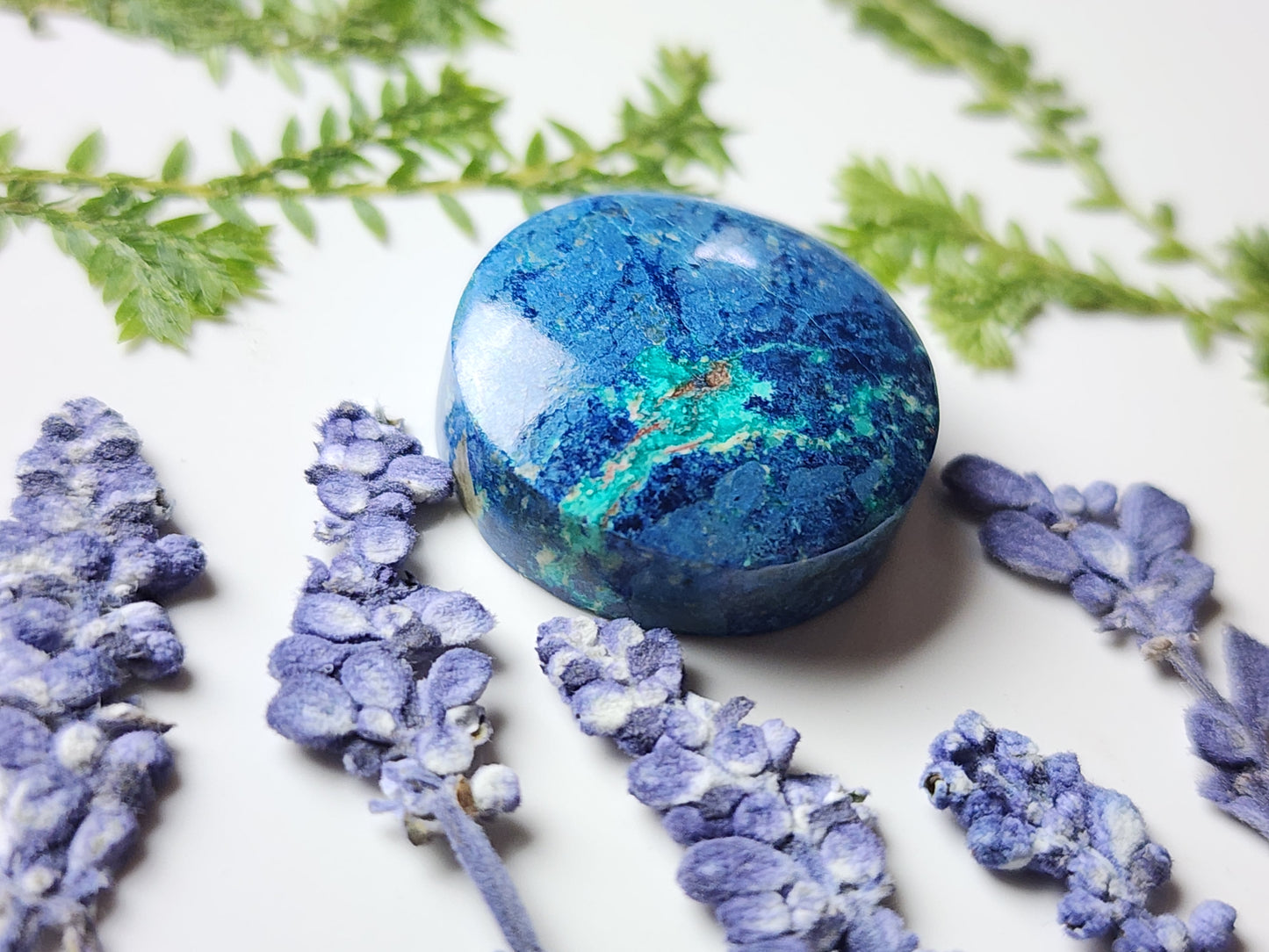 Bluebird Azurite Chrysocolla