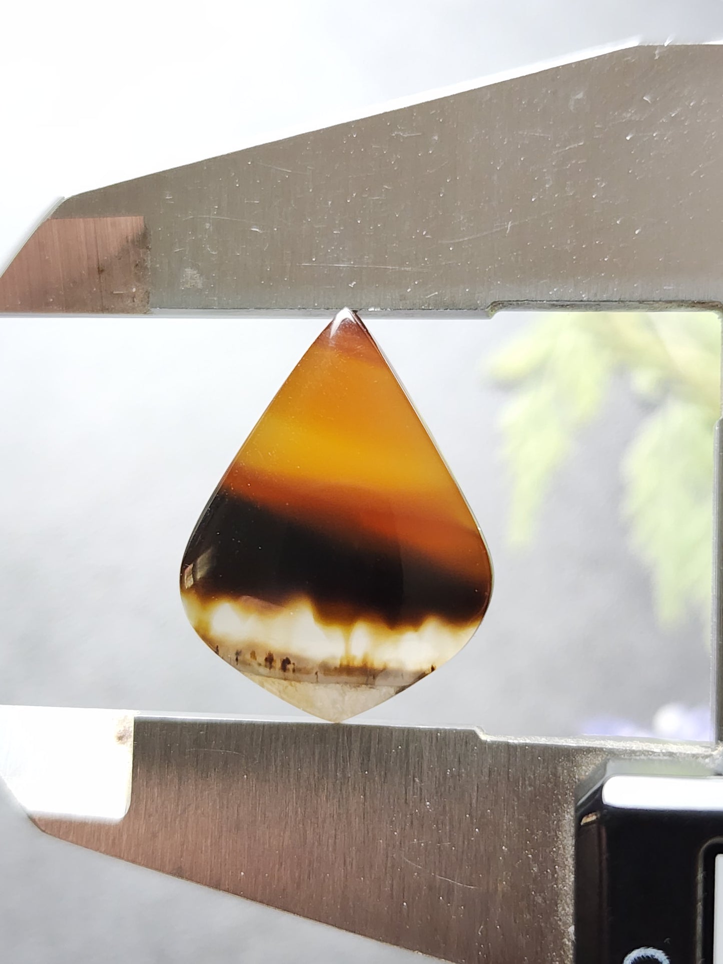 Montana agate