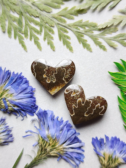 Suture Ammonite heart pair