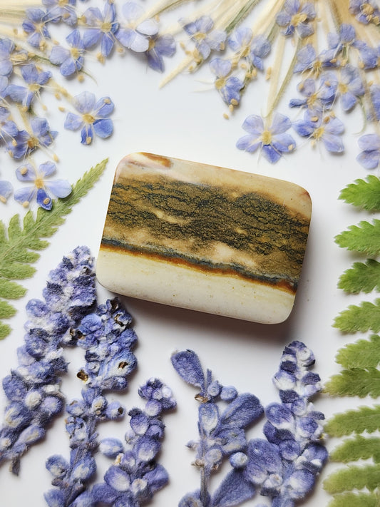 Starry night picture jasper