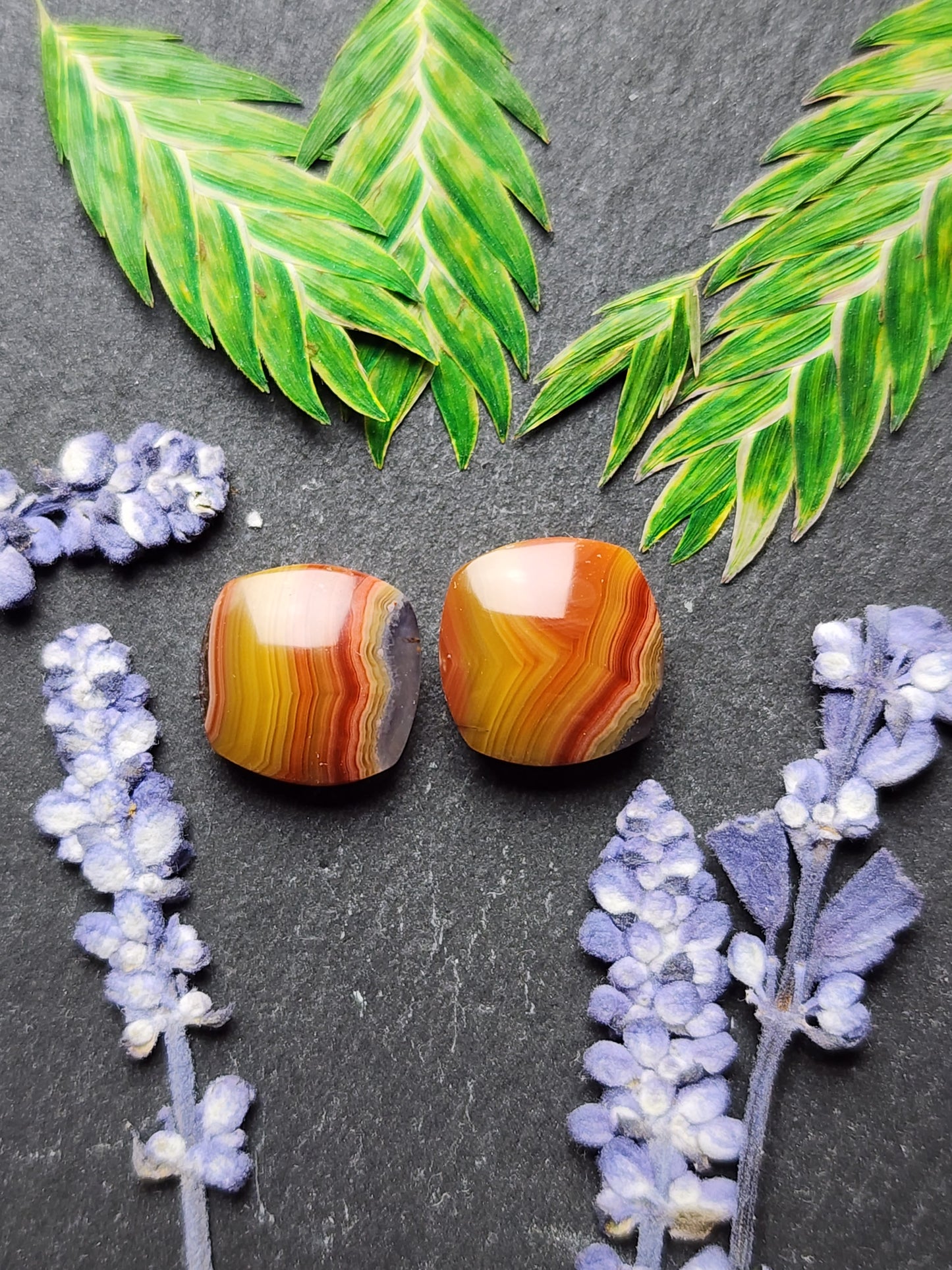 Agua Nueva agate pair