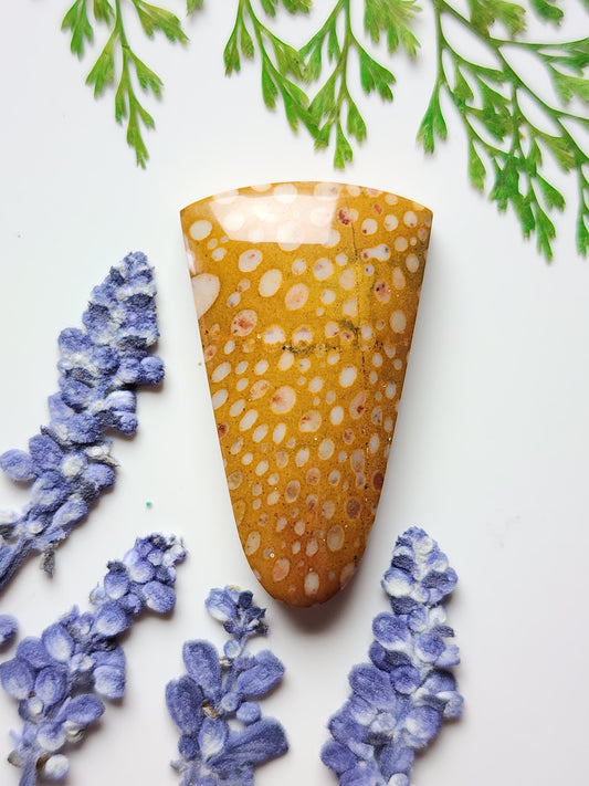 Spotted Fawn jasper