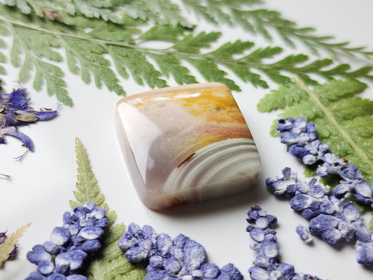 Polychrome jasper