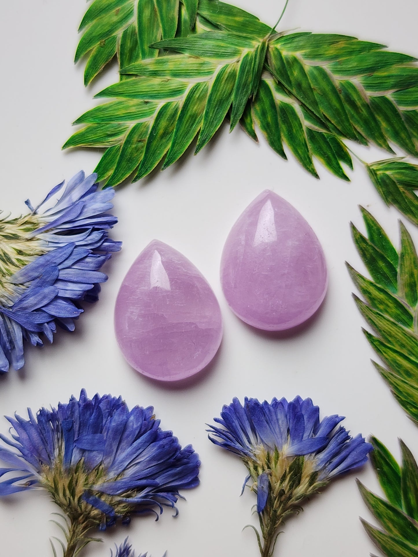 Lavender Kunzite pair