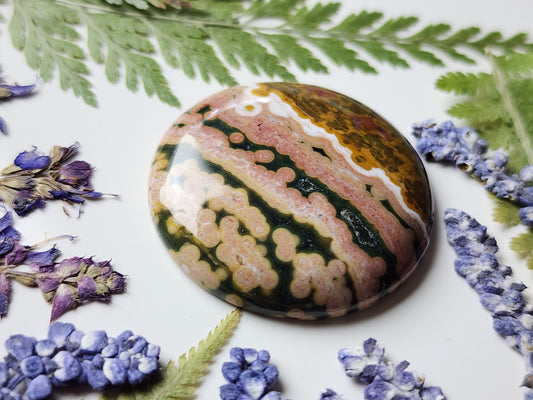Ocean jasper