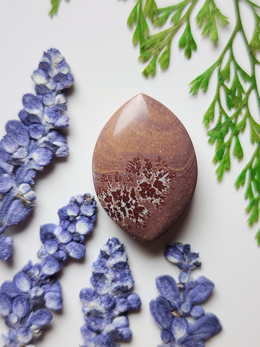 Sonoran Dendritic Rhyolite