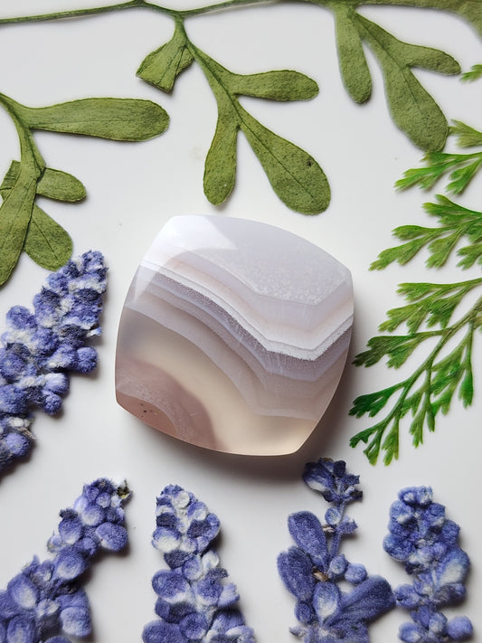 Agua Nueva agate