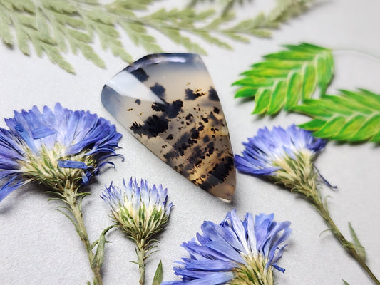 Montana agate