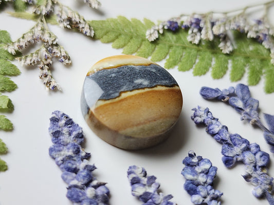 Starry night picture jasper