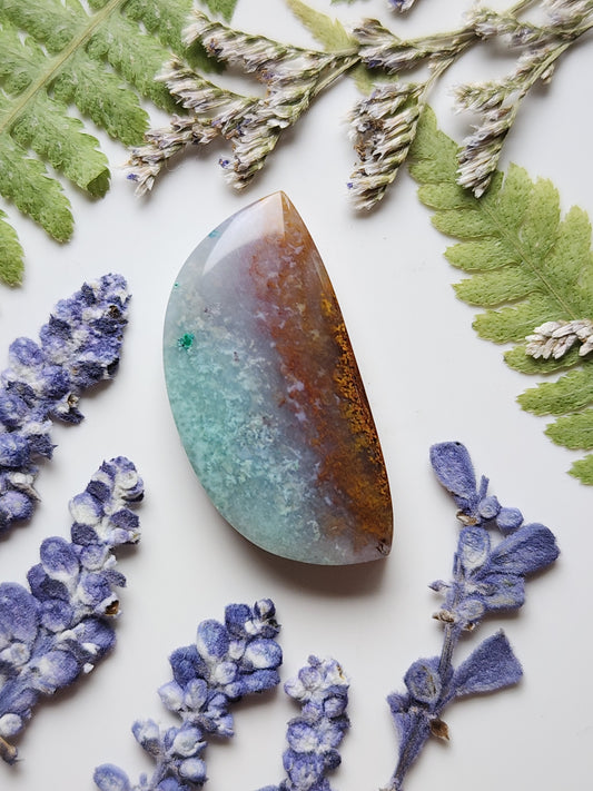Petrified Blue opalized wood