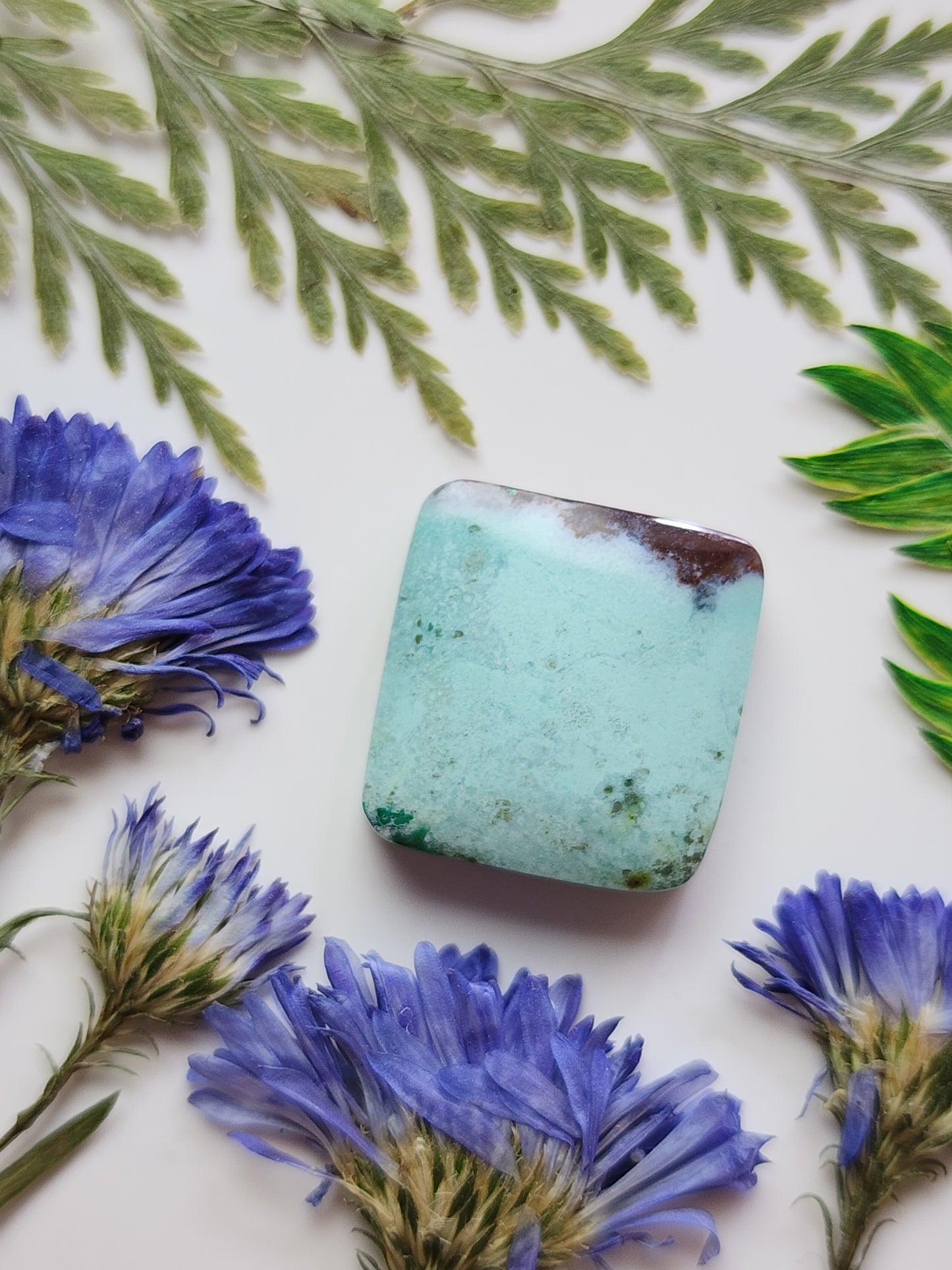 Petrified Blue opalized wood