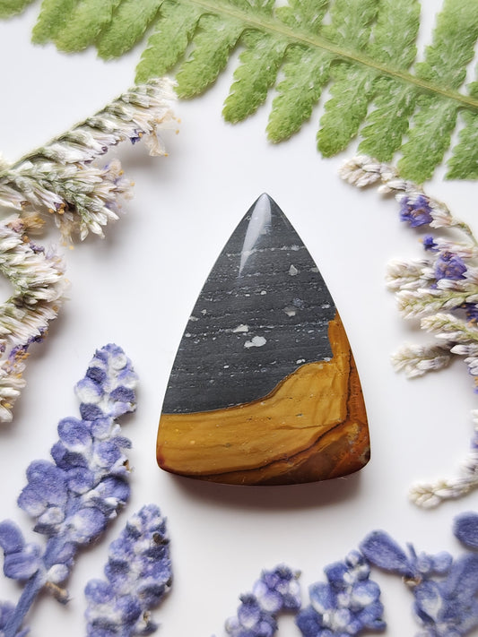 Red Desert jasper