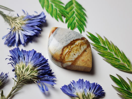 Chicken track jasper