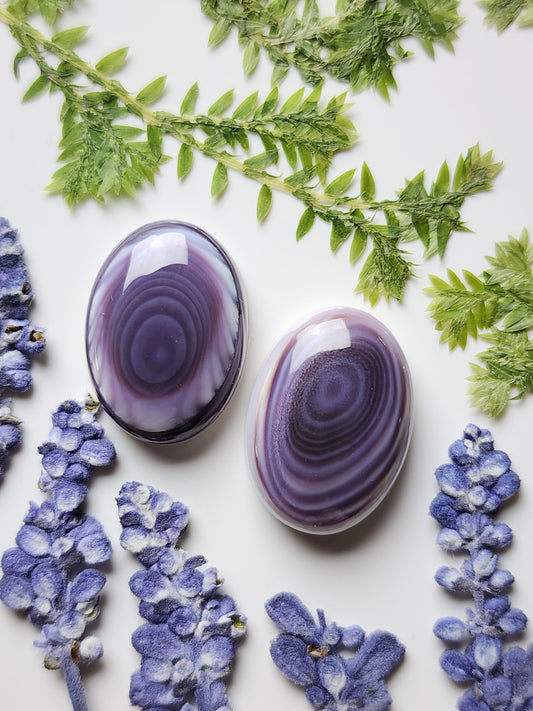 Wampum shell pair