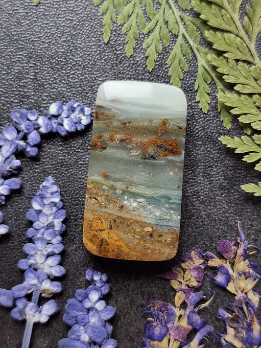 BC Ocean Picture Stone