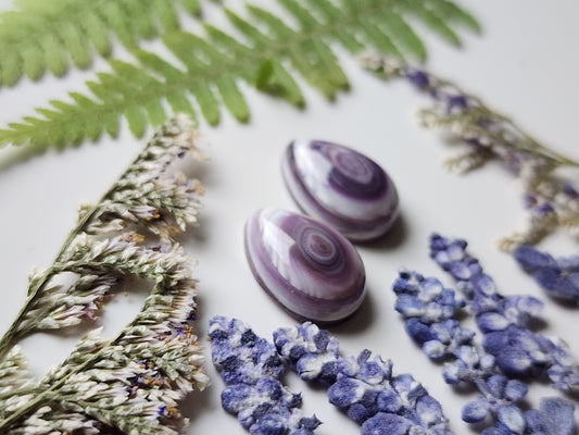 Wampum shell pair