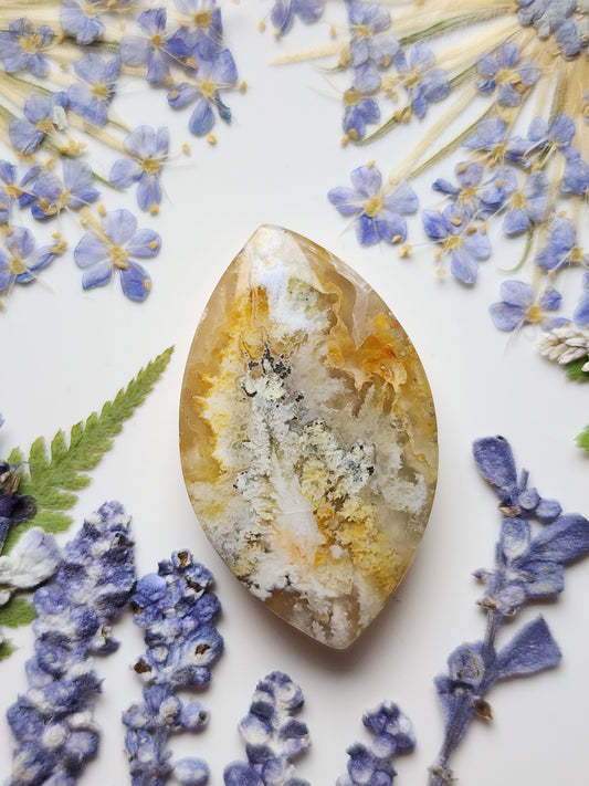 North ridge plume agate
